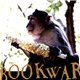 Bookwar - Pin