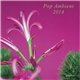 Various - Pop Ambient 2014